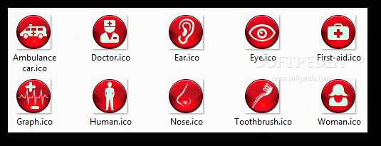 Ruby Medical Icons Crack + Serial Number Download 2024