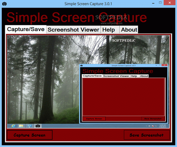 Simple Screen Capture Crack Plus Serial Key