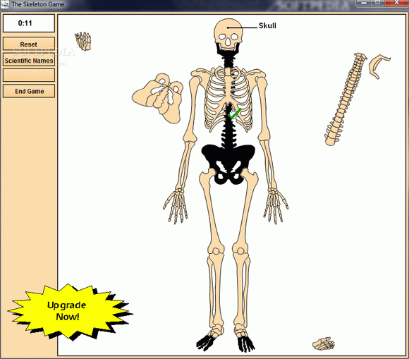Skeleton Constructor Crack With Activator Latest