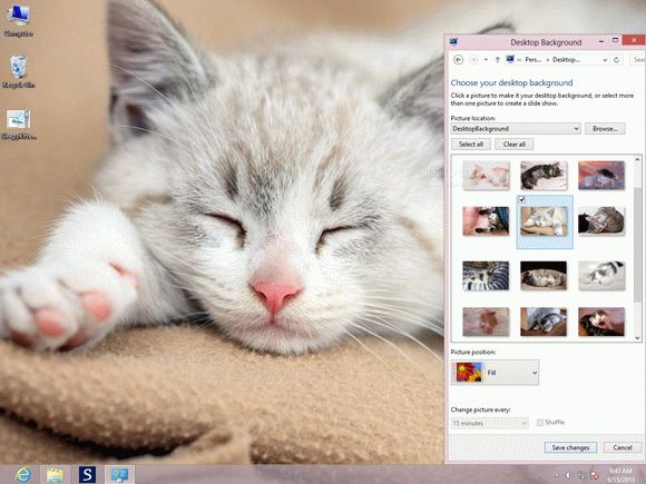 Sleepy Kittens Theme Crack + Activator Download