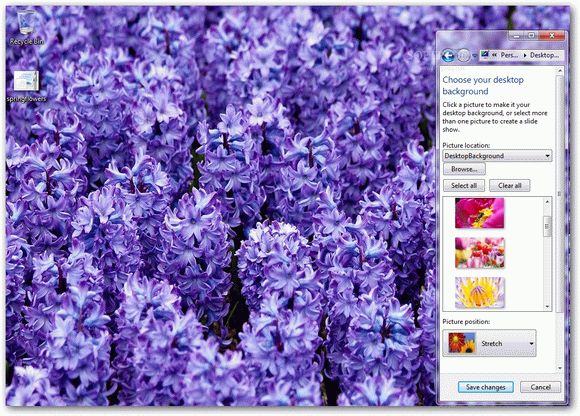 Spring Flowers Windows 7 Theme Crack With Activation Code