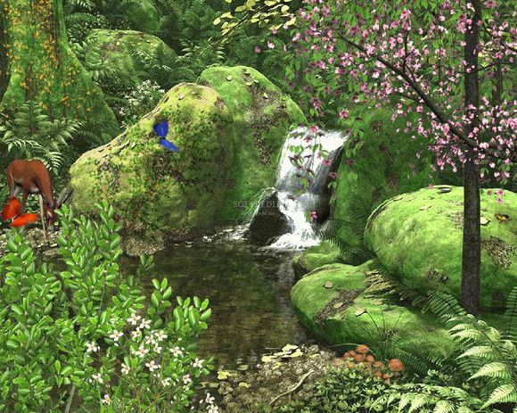 Spring Stream - Animated Wallpaper Keygen Full Version