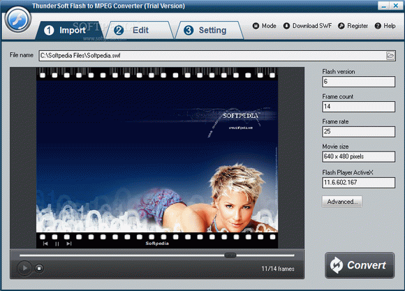 ThunderSoft Flash to MPEG Converter Crack + License Key (Updated)