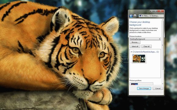 Tiger Painting Crack + Serial Key Updated