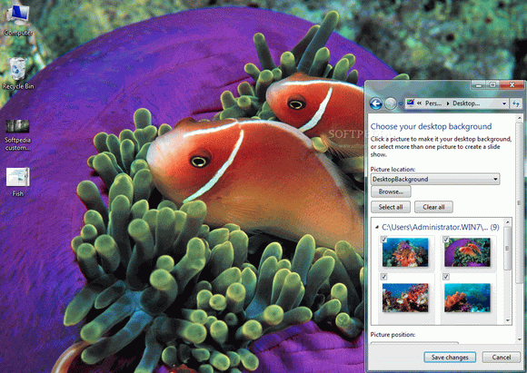 Tropical Fish Windows 7 Theme Crack With Activator Latest