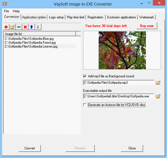 VaySoft Image to EXE Converter Crack + Activation Code Updated