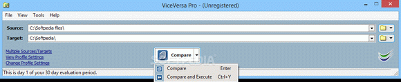 ViceVersa PRO Crack + License Key Updated