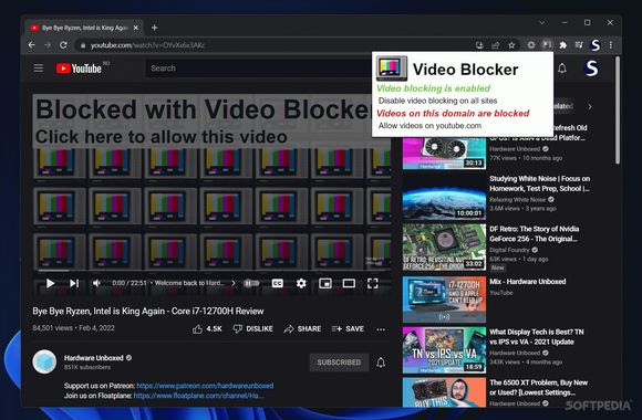Video Blocker for Chrome Crack With Serial Number Latest 2024