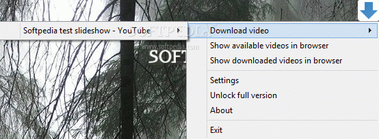 Video Downloader Ultimate Crack + License Key Download