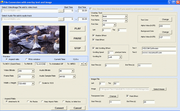 Video Edit Pro ActiveX Control Crack With Activator 2024