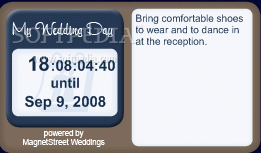 Wedding Tip of the Day and Countdown Activator Full Version