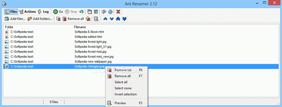 Portable Ant Renamer Crack With Activator 2024