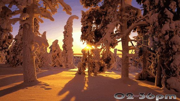Winter Landscapes Free Screensaver Serial Number Full Version