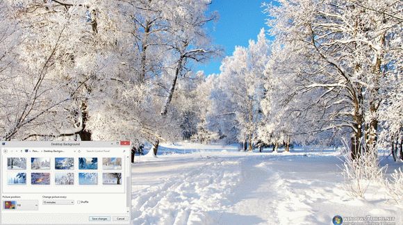 Winter Trees Windows 7 Theme Crack With Serial Key